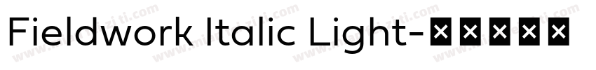 Fieldwork Italic Light字体转换